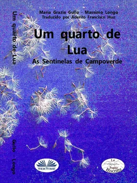 Massimo Longo Um Quarto De Lua обложка книги