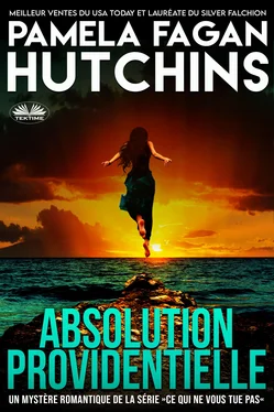 Pamela Fagan Hutchins Absolution Providentielle обложка книги