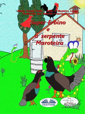 Maria Grazia Gullo Super-Erbino E A Serpente Maroteira обложка книги