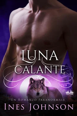 Ines Johnson Luna Calante обложка книги