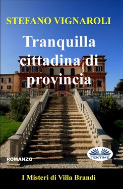 Stefano Vignaroli Tranquilla Cittadina Di Provincia обложка книги