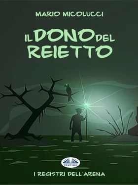 Mario Micolucci Il Dono Del Reietto обложка книги