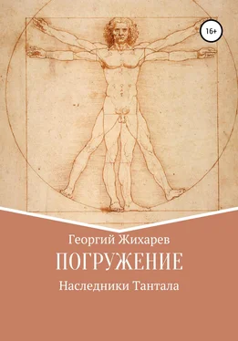 Георгий Жихарев Погружение обложка книги