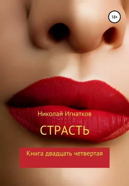 Николай Игнатков Страсть. Книга двадцать четвертая обложка книги