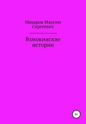Максим Макаров - Взмокинские истории