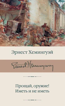 Эрнест Хемингуэй Прощай, оружие! Иметь и не иметь обложка книги