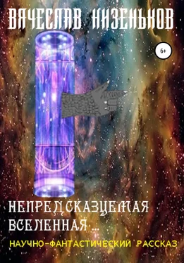 Вячеслав Низеньков Непредсказуемая Вселенная обложка книги