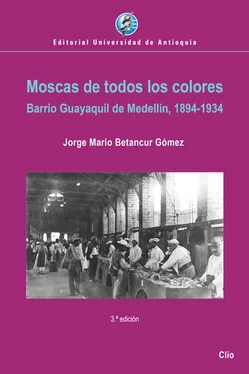 Jorge Mario Betancur Gómez Moscas de todos los colores обложка книги