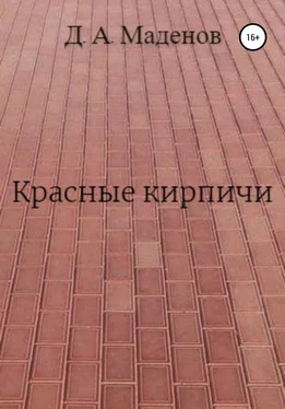 Денис Маденов Красные кирпичи обложка книги