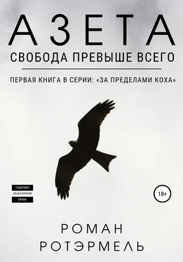 Роман Ротэрмель Азета обложка книги