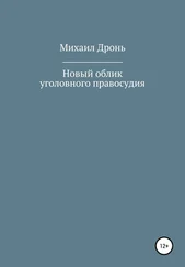 Михаил Дронь - Новый облик уголовного правосудия