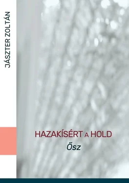 Zoltán Jászter Hazakísért a Hold. Ősz обложка книги