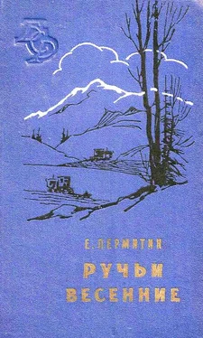 Ефим Пермитин Ручьи весенние обложка книги