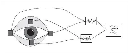 Fig 49 Método electrooculográfico de registro de movimientos oculares d - фото 76