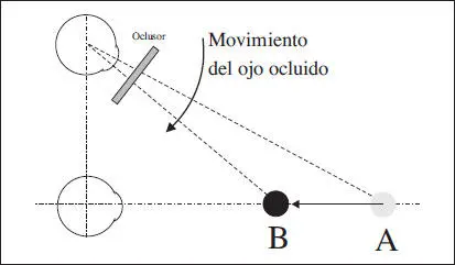 Fig 57 Experiencia de Müller 1826 sobre la vergencia acomodativa Aunque a - фото 106