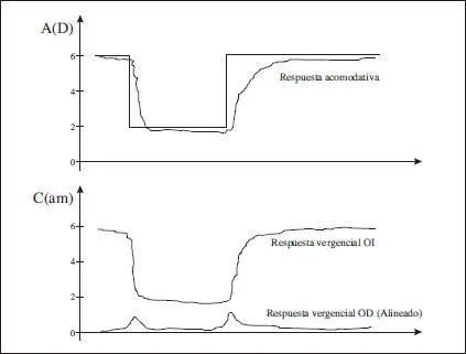 Fig 58 Variaciones en la respuesta vergencial de los dos ojos en la - фото 107