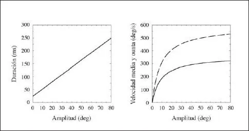 Fig 46 Dinámica de los movimientos sacádicos horizontales Izquierda - фото 71