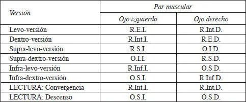 Así dado un músculo en particular su par antagonista contralateral será el - фото 109