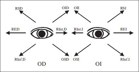 Fig 59 Esquema de las 6 posiciones diagnósticas de la mirada con sus - фото 108