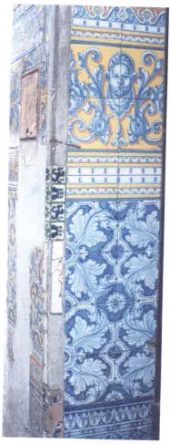 Arimadillo Obispo 165 Excusados Debieron chaparse con azulejo blanco los más - фото 22