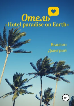 Дмитрий Вьюгин Отель «Hotel paradise on Earth» обложка книги