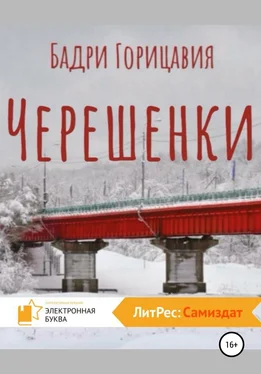 Бадри Горицавия Черешенки обложка книги