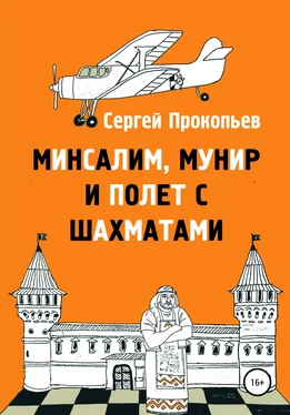 Сергей Прокопьев Минсалим, Мунир и полёт с шахматами обложка книги