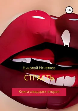 Николай Игнатков Страсть. Книга двадцать вторая обложка книги