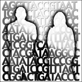 En el fondo todos somos A T C y G Ilustración del National Human Genome - фото 5