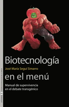 José María Seguí Simarro Biotecnología en el menú обложка книги