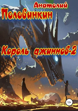 Анатолий Половинкин Король джиннов – 2 обложка книги