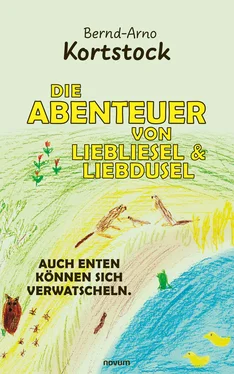 Bernd-Arno Kortstock Die Abenteuer von Liebliesel & Liebdusel обложка книги