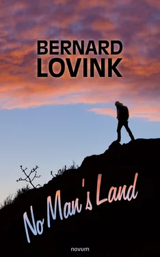 Bernard Lovink No Man's Land обложка книги