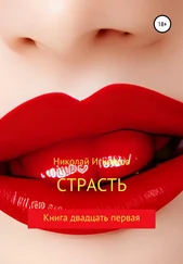 Николай Игнатков - Страсть. Книга двадцать первая