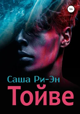 Саша Ри-Эн Тойве обложка книги