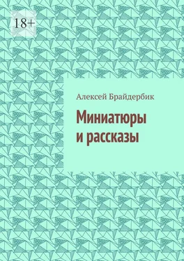 Алексей Брайдербик Миниатюры и рассказы обложка книги