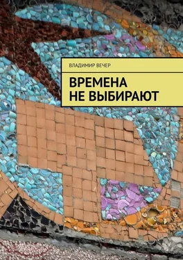 Владимир Вечер Времена не выбирают обложка книги