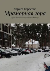Лариса Гордеева - Мраморная гора. Серия «Детективное агентство „Айсберг“