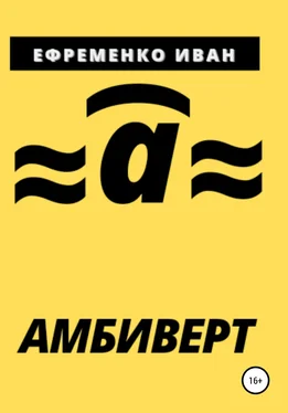 Иван Ефременко Амбиверт обложка книги