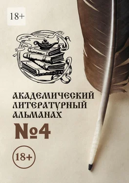 Н. Копейкина Академический литературный альманах №4 обложка книги