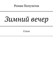 Роман Полуэктов - Зимний вечер. Стихи