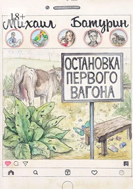 Михаил Батурин Остановка первого вагона обложка книги