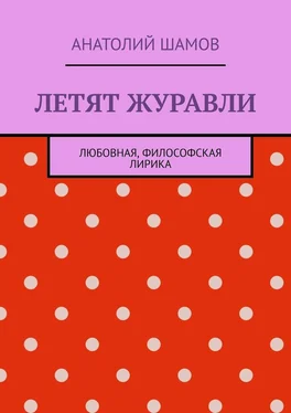 Анатолий Шамов Летят журавли. Любовная, философская лирика обложка книги