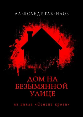 Александр Гаврилов Дом на безымянной улице обложка книги