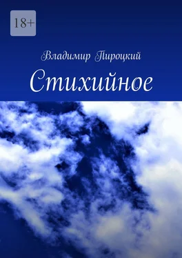 Владимир Пироцкий Стихийное обложка книги