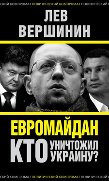 Лев Вершинин Евромайдан. Кто уничтожил Украину? обложка книги