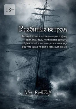 Mel RedWolf Разбитые ветром обложка книги