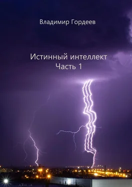 Владимир Гордеев Истинный интеллект. Часть 1 обложка книги