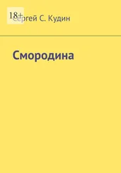 Сергей Кудин - Смородина