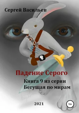 Сергей Васильев Падение Серого обложка книги